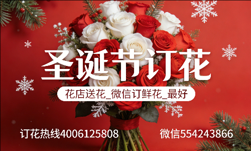 ���뷲����������