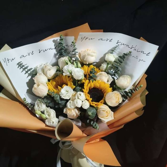 ���뷲����������